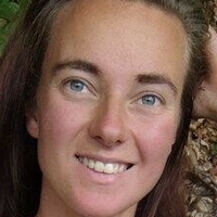 Приключенията на Паулес Голи